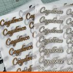 Caydence Guitars dry transfer sheet BEL Signs